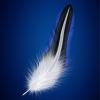 John Blue Feather's picture