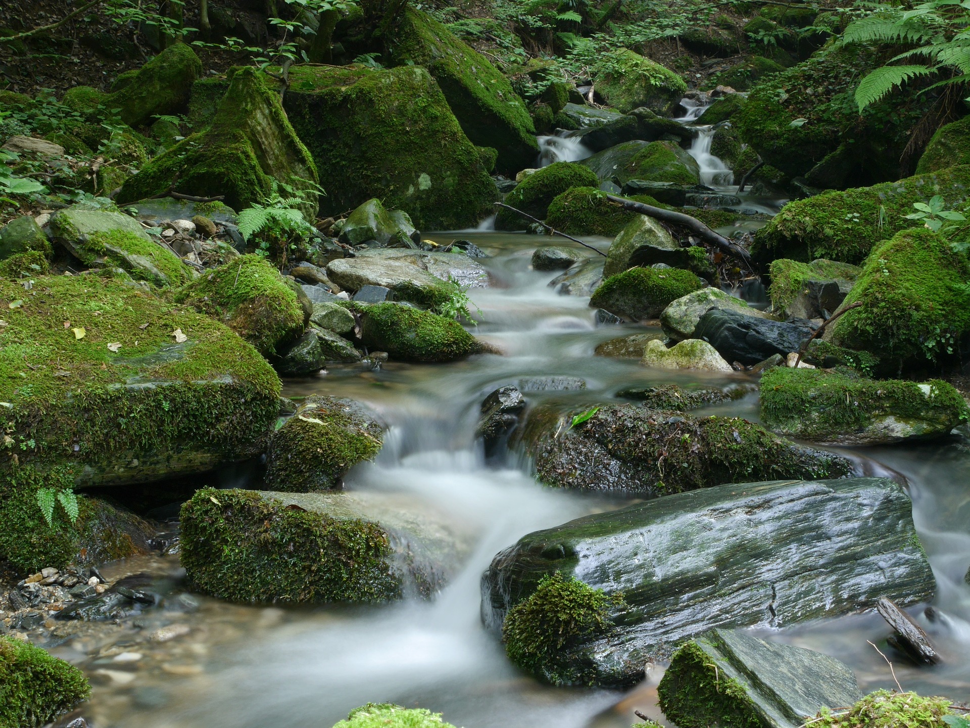 Miracle At Tumwater Creek